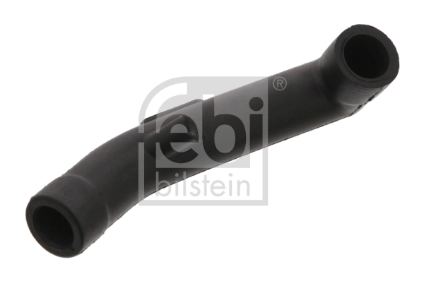 Hose, crankcase ventilation